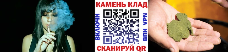 Гашиш Изолятор  Зеленогорск 