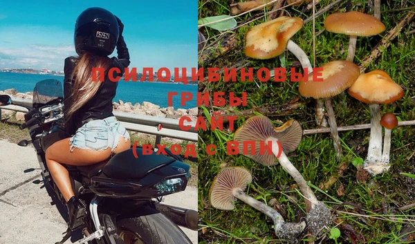 COCAINE Гусиноозёрск