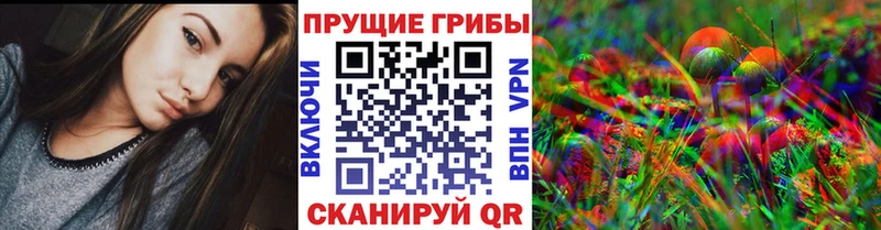 дарнет шоп  kraken ТОР  Псилоцибиновые грибы мухоморы  Зеленогорск 